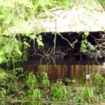 Amazonas Jungle-Lodges
