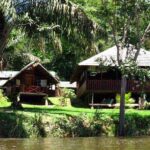 Surinam Dschungel Lodges