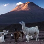 Selbstfahrertour Atacama