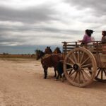 Pferdekarren Iberá