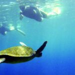 Info Galápagos