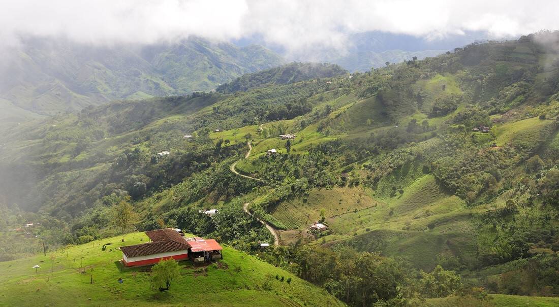 Panamá-Kolumbien - Rundreise Kolumbien - Kaffeeanbaugebiet