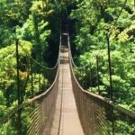 Panamá & Costa Rica im Mietwagen - Boquete Hanging Bridge