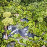 Panamá & Costa Rica im Mietwagen - Tabacon Hot Springs