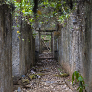 Teufelsinsel Französisch-Guayana