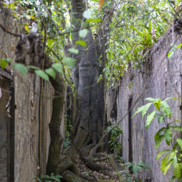 Teufelsinsel Französisch-Guayana