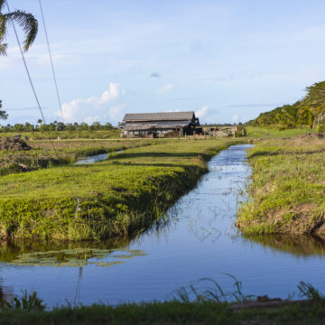 Suriname / Paramaribo