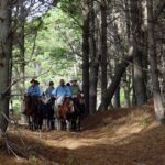 Mit den Pferden durch Uruguays Wälder