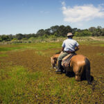 Uruguay-Reise für Reiter