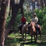Zu Pferd durch Wälder in Uruguay