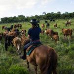 Uruguay-Reise für Reiter