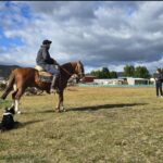 Gaucho auf einer Estancia in Patagonien